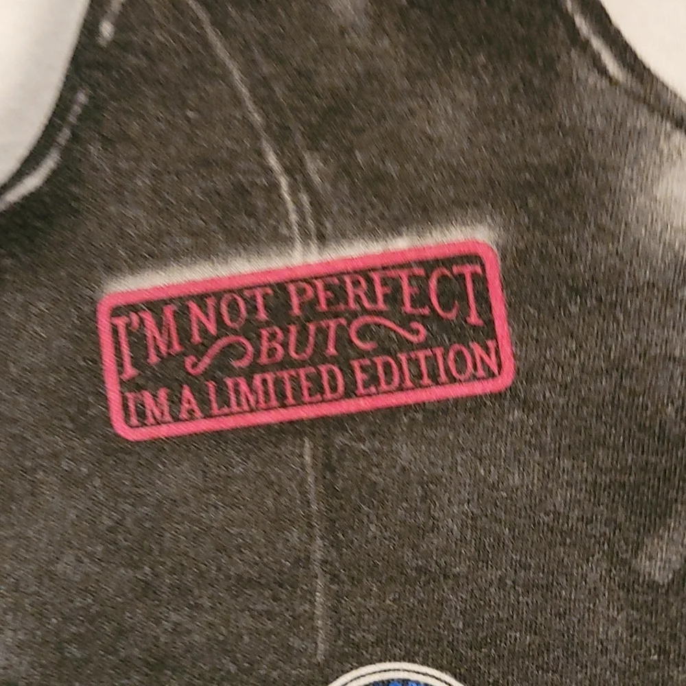 Harley-Davidson Harley-Girl onesie 18 months plus an HD Roamer bear